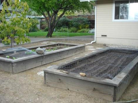 After Planting