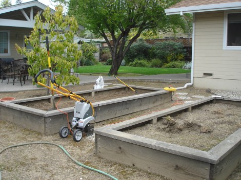 Before Tilling