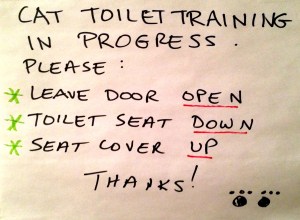 Cat Toilet Training in Progress