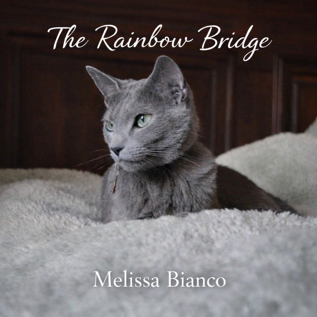 The Rainbow Bridge by Melissa Bianco, a gray cat resting on a soft blanket